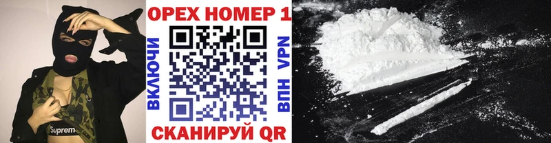 Купить закладки  Камышлов  Cocaine 97% 