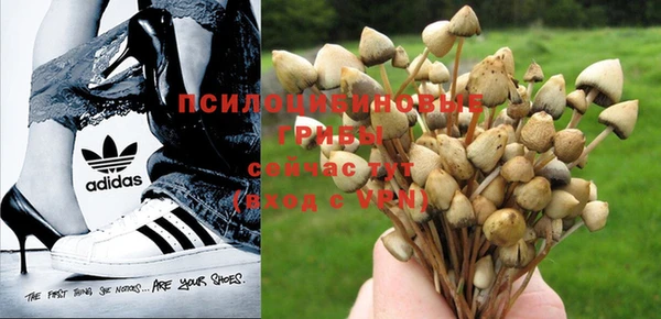 a pvp Вязники