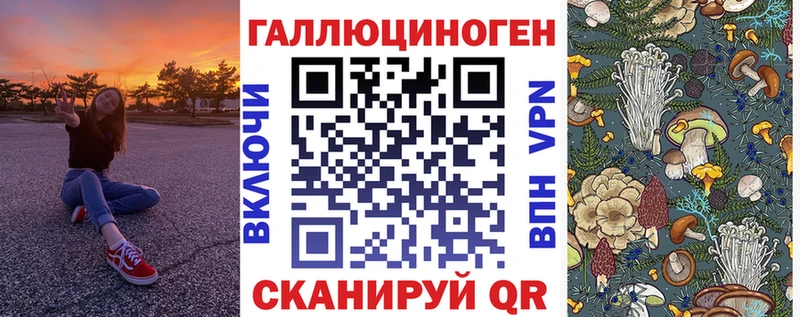 Галлюциногенные грибы мицелий  Купить где  Камышлов 