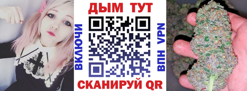 Бошки марихуана Bruce Banner Камышлов